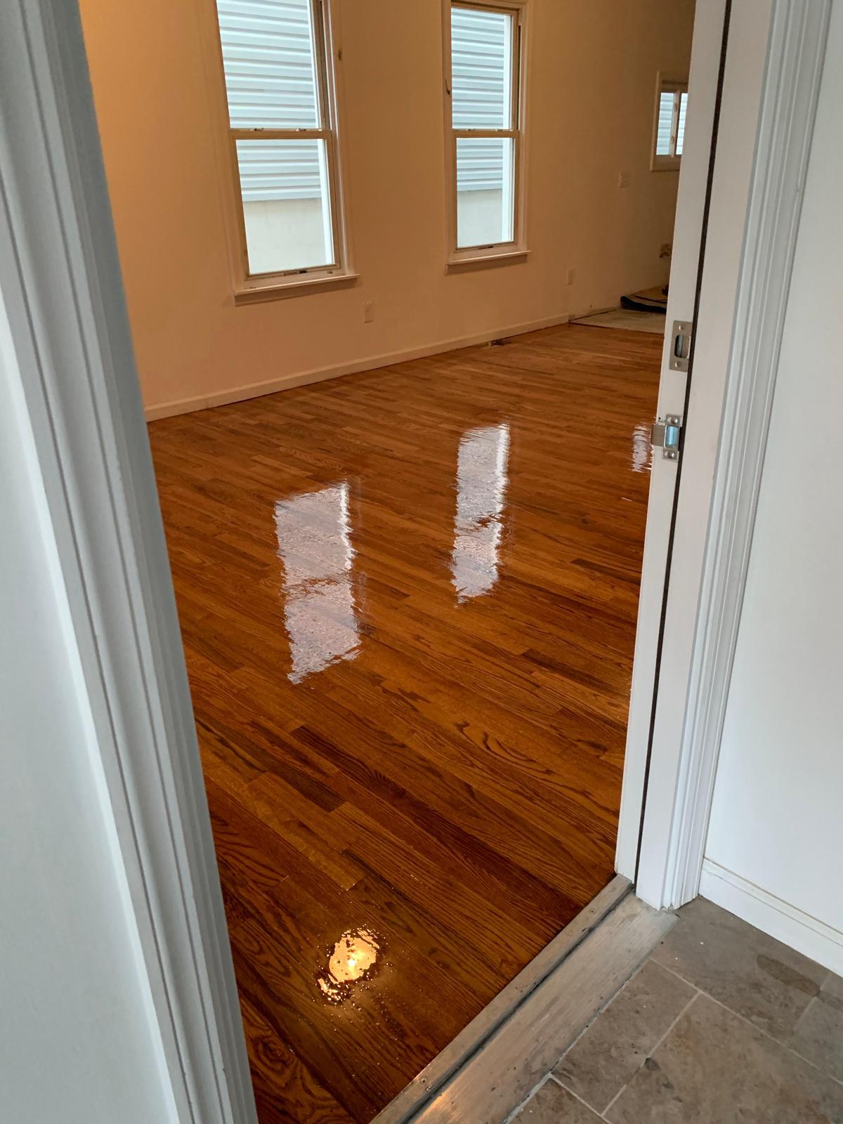 Proyecto de remodelación 13